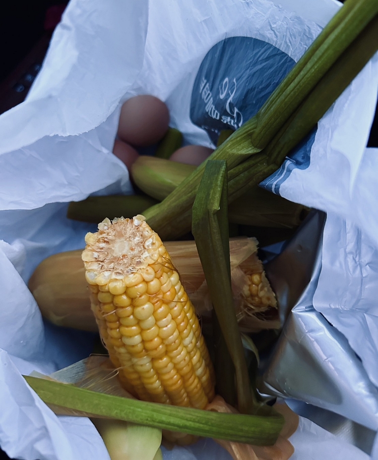 【宜蘭必玩】用竹簍煮出溫泉美食,享受山林間地熱圍繞的朦朧美