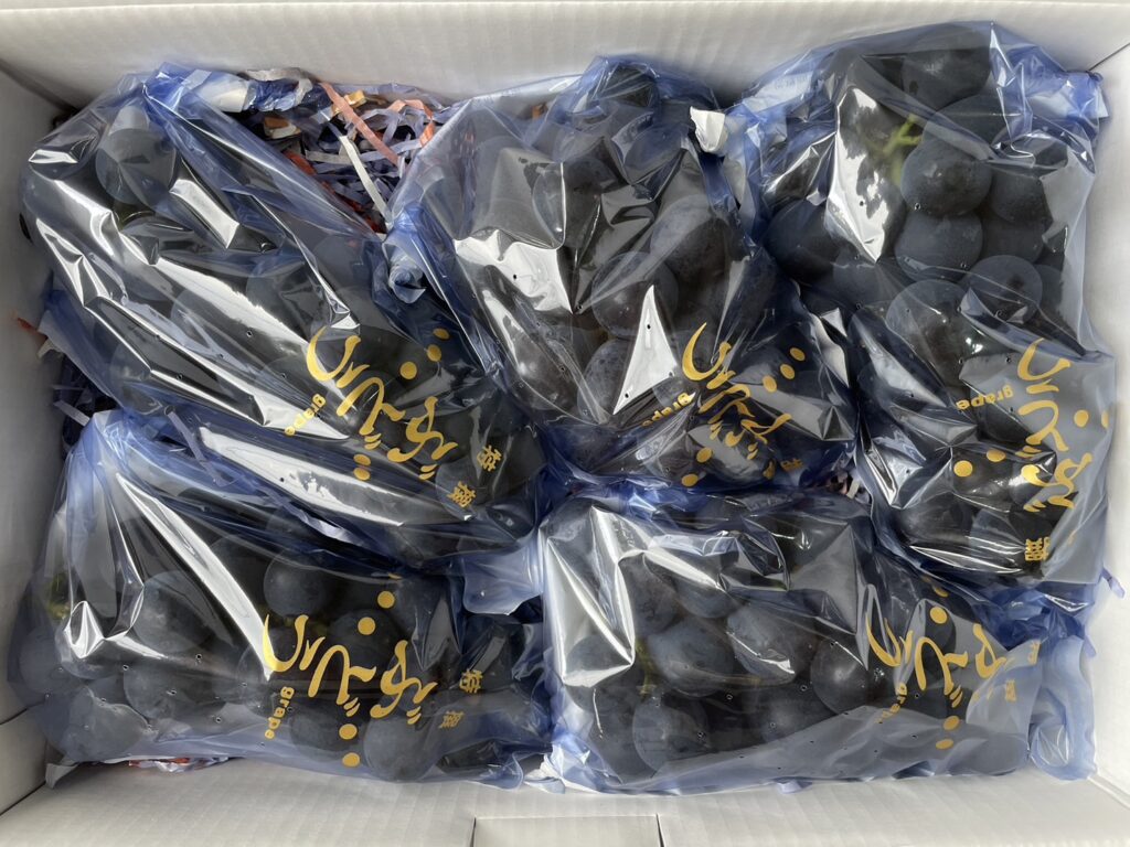 434845690 955413586279911 4401708399701844387 N