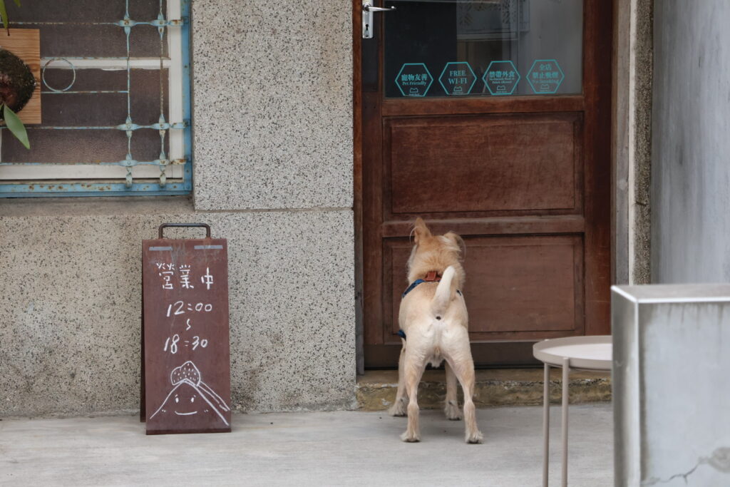 Subi Coffee bakery｜員林老宅甜點咖啡廳，寬敞庭院空間，適合拍照和聚會