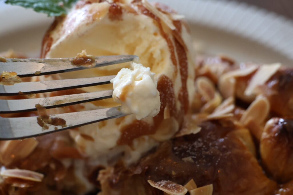 【如常所在】超療癒親人的店貓．必點手工蘋果派｜寵物友善的老宅咖啡廳