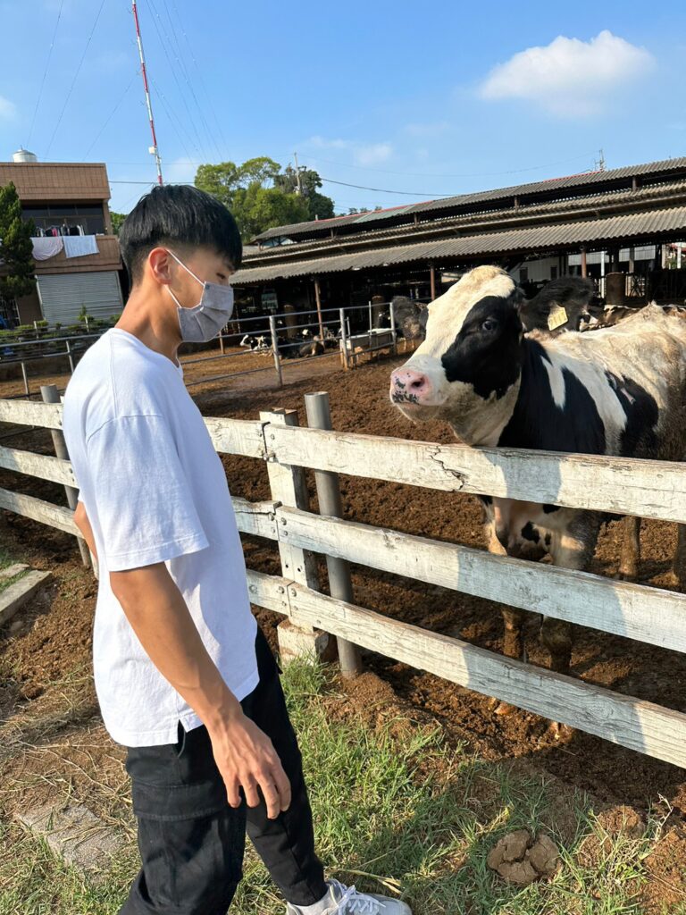 Line album 🐮 250720 2