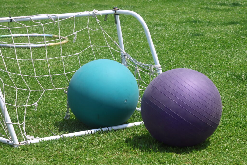 長頸鹿休閒農場