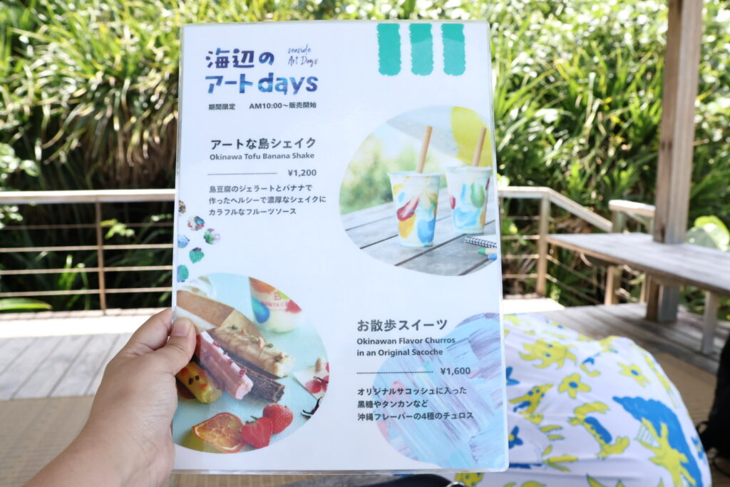 沖繩 (285)